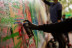 Atelier Graffiti sur Mur avec Graffiti Paris (Paris - 75)