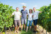 Expérience Découverte de la Vigne à la Cave pour deux (Montans, Tarn - 81)
