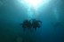 Randonnée Palmée en Mer Méditerranée (Fréjus, Var - 83)