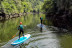 Descente en Stand-Up Paddle sur la Rivière Bidassoa (Hendaye, Pyrénées-Atlantiques - 64)