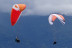 Baptême en Parapente Biplace (Lumbin, Isère - 38)