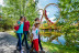 Billets d'entrée pour Parc Astérix (Plailly, Île-de-France - 60)