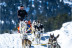 Séjour au spa à l'Andorra Park Hotel 5* et Mushing pour deux (Andorre)