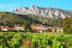 Séjour en Gîte avec Dégustation de Vin et Assiette Gourmande au Domaine Vents du Sud (Vingrau, Pyrénées-Orientales - 66)
