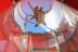 Simulateur de Chute Libre Pass Adulte (Montpellier, Hérault - 34)