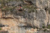 Saut Pendulaire (Millau, Aveyron - 12)