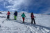 Sortie Nature et Découverte en Raquettes à Neige (Laveissière, Cantal - 15)