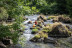 Excursion en Kayak (Millau, Aveyron - 12)