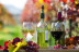 Séjour Œnologique avec Dîner et Dégustation de Vins avec Secrets de Vignobles (Beaune, Côte d'Or - 21)