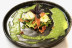 Cours de Cuisine Mini (Nice, Alpes-Maritime - 06)