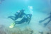 Baptême de Plongée Sous-Marine en Mer (Tossa de Mar, Gérone)