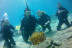 Baptême de Plongée Sous-Marine en Mer (Tossa de Mar, Gérone)