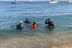 Initiation à la Plongée PE12 dans le Bassin d’Arcachon (Mios, Gironde - 33)