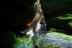 Canyoning Sensation au Canyon de l'Infernet (Isère - 38)