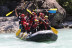 Rafting Découverte à choisir parmi différentes rivières (Hautes-Alpes - 05)