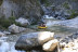 Rafting sur la Durance et le Guil (Saint-Clément-sur-Durance, Hautes-Alpes- 05)