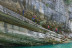 Randonnée Aquatique dans les Gorges du Verdon - Parcours “Le Pont du Tusset” (Castellane, Alpes-de-Haute-Provence - 04)