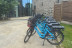 Randonnée Guidée “Évasion Celte” en Vélo Électrique (Carnac, Bretagne- 56)