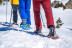 OFFRE : Rando en Raquettes à Neige avec assurance (Grandvalira, Andorre)
