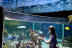 Billets pour Sea Life Paris Val d'Europe (Serris, Seine-et-Marne - 77)