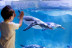 Billets pour l'Aquarium SEA LIFE Paris (Serris, Seine-et-Marne - 77)