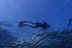 Snorkeling pour deux sur la Costa Brava (Roses, Espagne)