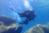 Snorkeling et Randonnée Palmée - Départ du Bateau (Ajaccio, Corse-du-Sud - 20)