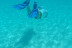 Snorkeling et Randonnée Palmée (La Richardais / Dinard / Saint-Malo, Bretagne - 35)