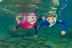 Snorkeling et Randonnée Palmée autonome (Cerbère, Pyrénées-Orientales - 66)