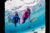 Snorkeling et Randonnée Palmée (Calvi, Haute-Corse -20)