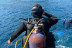 Snorkeling et Randonnée Palmée encadrée (Saint-Cyprien, Pyrénées-Orientales - 66)