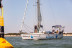 Sortie en Bateau la Matinée (La Rochelle, Charente-Maritime- 17)
