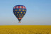 Baptême en Montgolfière et Dégustation (Loir-et-Cher - 41)