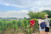 Journée Visite à Saint-Emilion et Pomerol avec Déjeuner et Dégustation de Vins pour deux (Bordeaux, Gironde- 33)