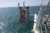 Sortie en Catamaran d’une Demi-Journée (Le Grau-du-Roi, Gard - 30)