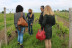 Visite et Dégustation de la gamme de Vins du Château Nodot (Saint-Christoly-de-Blaye, Gironde - 33)
