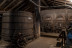 Visite et Dégustation de la gamme de Vins du Château Nodot (Saint-Christoly-de-Blaye, Gironde - 33)