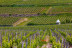 Visite de Château avec Assemblage et Dégustation de Vins de Bordeaux en Duo (Cadaujac, Gironde- 33)