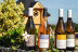 Visite avec Dégustation de Vins à l’aveugle pour deux au Domaine Joseph Lafarge (Lugny, Bourgogne- 71)