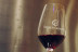 Visite avec Dégustation de 3 Vins et Pique-nique en Duo aux Vignobles Chatonnet (Néac, Gironde - 33)