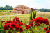 Visite du Domaine Viticole Duffau avec Dégustation de Vins (Gaillac, Tarn - 81)