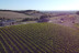 Visite du Domaine Viticole Duffau avec Dégustation de Vins (Gaillac, Tarn - 81)