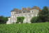 Visite Coup de Foudre du Vignoble au Château de la Greffière pour deux (La Roche Vineuse, Bourgogne - 71)