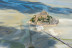 Vol d'Initiation au Pilotage en ULM (Saint-Malo/Dinard, Côte d'Emeraude et Baie du Mont Saint Michel, Ille-et-Vilaine - 35)