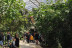 Billets pour le Parc Zoologique de Paris (Paris, Île-de-France - 75)