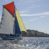 Sortie en Mer et Balade en Bateau dans le Golfe du Morbihan (Arzon, Morbihan - 56)