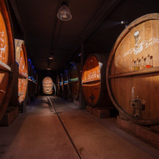 Dégustation de 5 Vins et Visite de Cave Immersive (Gertwiller, Bas-Rhin - 67)