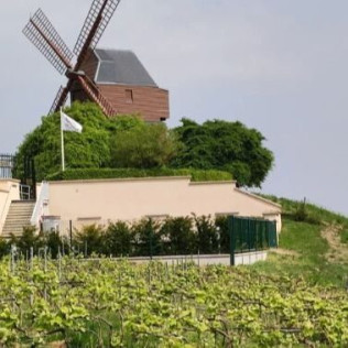 Cours d'Œnologie 3 niveaux pour deux (Paris, Île-de-France - 75)