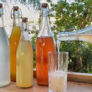 Atelier Boissons Fermentées : Kéfir et Kombucha (Bordeaux, Gironde - 33)