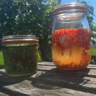 Atelier de Création de Sauces Pimentées Fermentées (Bordeaux, Gironde - 33)